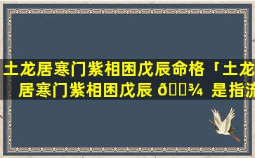 土龙居寒门紫相困戊辰命格「土龙居寒门紫相困戊辰 🌾  是指流年」